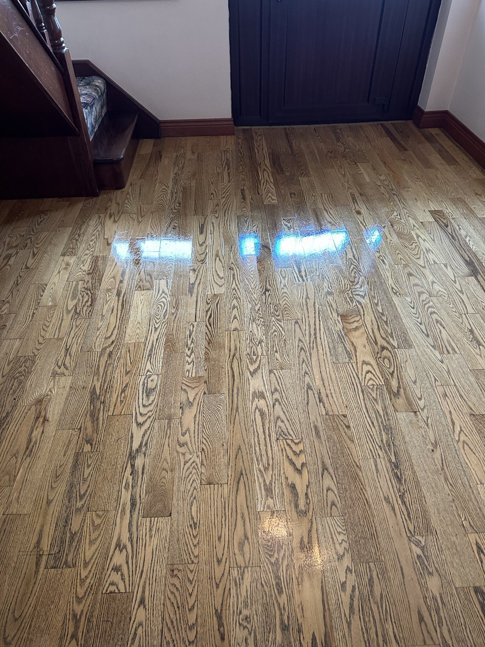 1 Room Floor Cleaning and Polishing