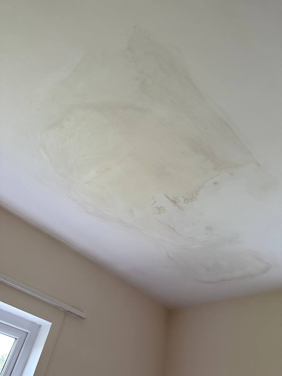 Mould Treatment